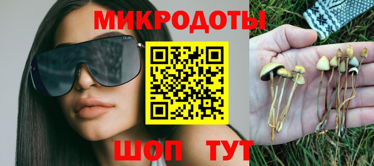 Псилоцибиновые грибы мухоморы Малгобек